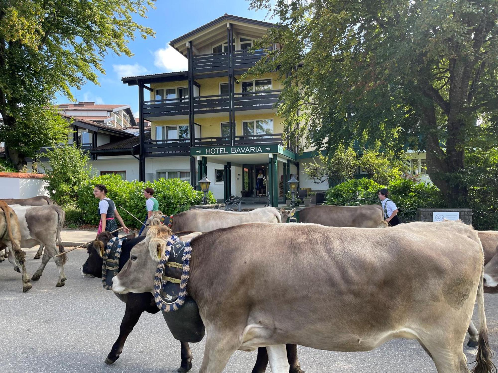 Bavaria - Partnerbetrieb Von Hotel 4*