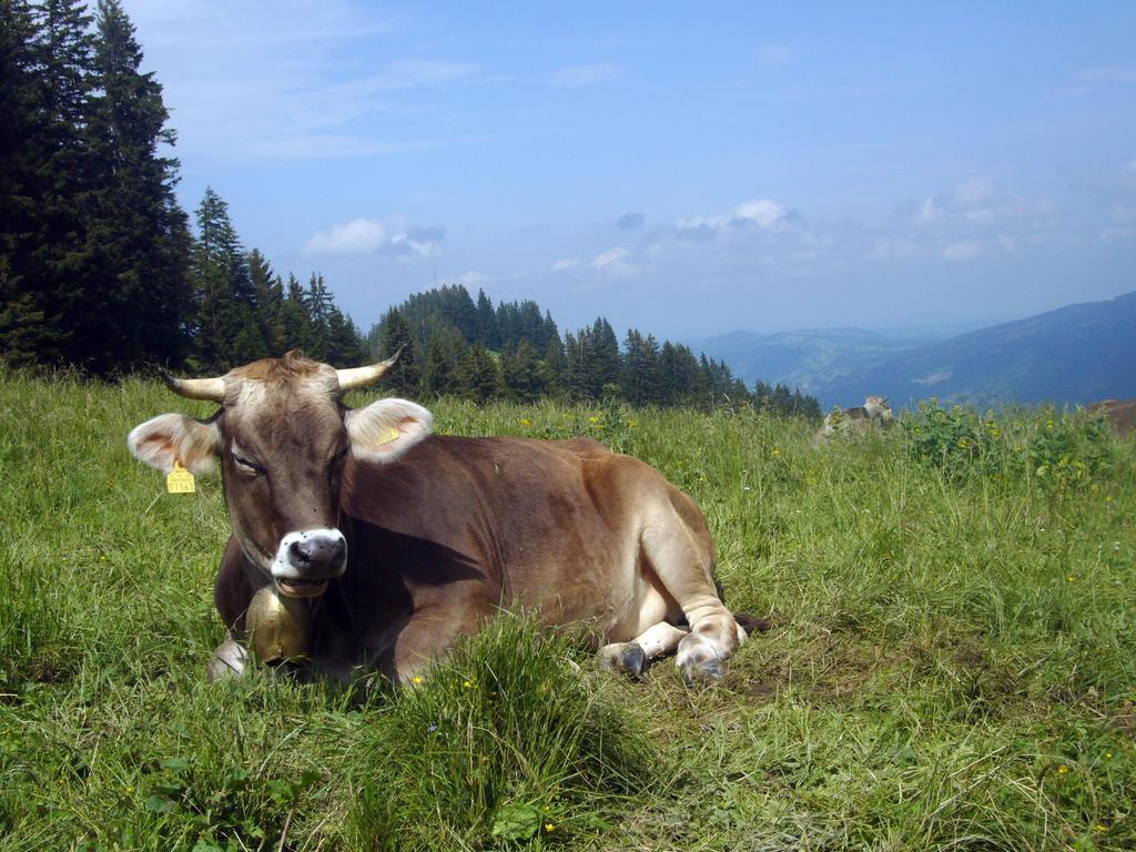 Bavaria - Partnerbetrieb Von Oberstaufen